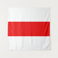 Le drapeau de la Biélorussie symbole de la révolut