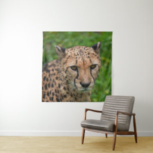 Tenture Le regard tendu de Cheetah