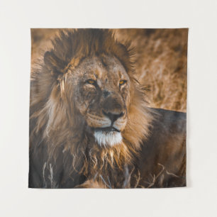 TENTURE LION DANS LE PARC NATIONAL D'ETOSHA