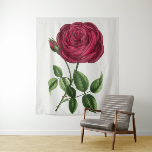 Tenture Lithographie de rose antique, François-Frédéric Gr