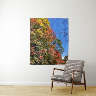 Tenture Maples colorées vives