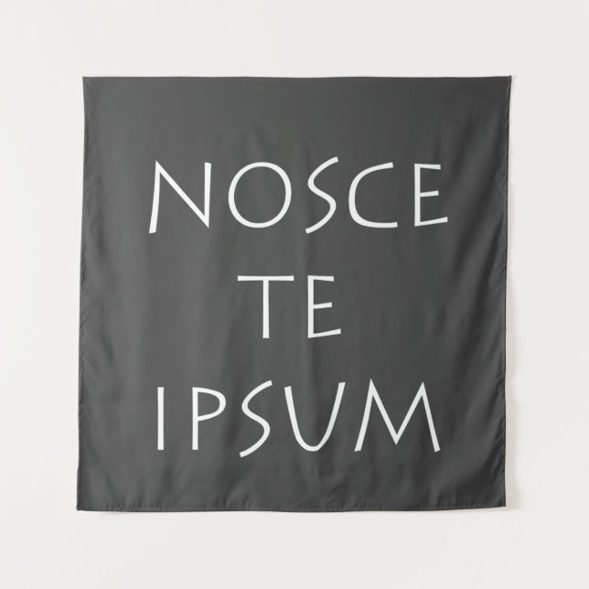 Tenture Nosce et ipsum (Devant)