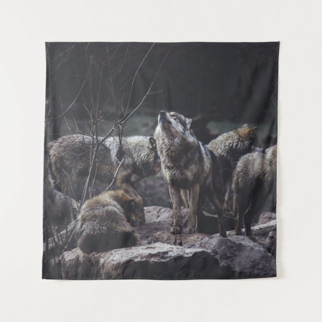 TENTURE PACK DE LOUPS EN FORMATION ROCK (Devant)