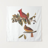 Paire de cardinaux d'Audubon dans un arbre d'amand