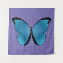 papillon bleu de Morpho menelaus