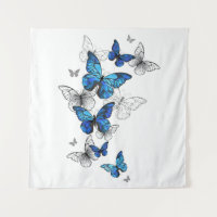 Papillons volants bleus Morpho