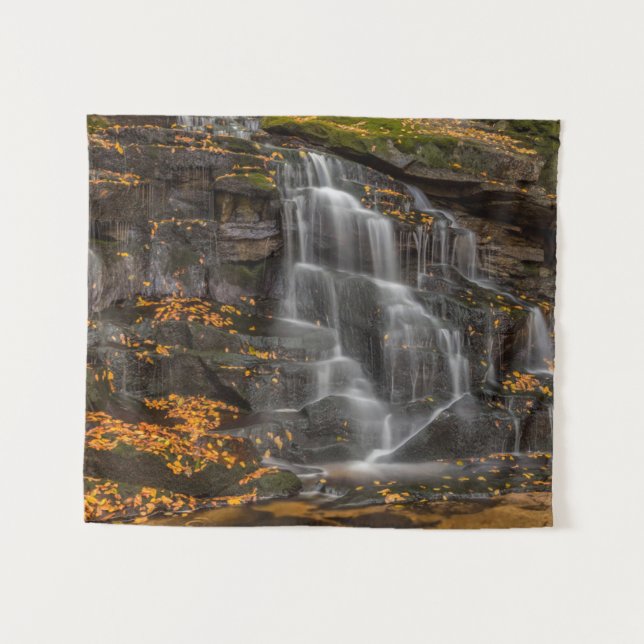 Tenture Parc national de Blackwater Falls (Devant (Horizontal))