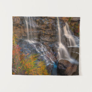 Tenture Parc national de Blackwater Falls   Virginie occid