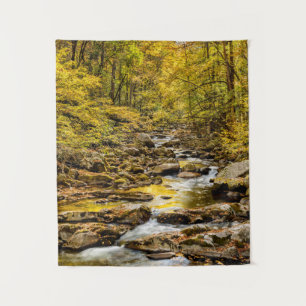 Tenture Parc national des Great Smoky Mountains. Big Creek