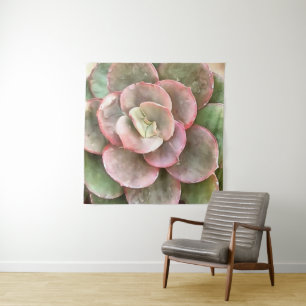 Tenture Peinture acrylique Succulente Echeveria Cactus