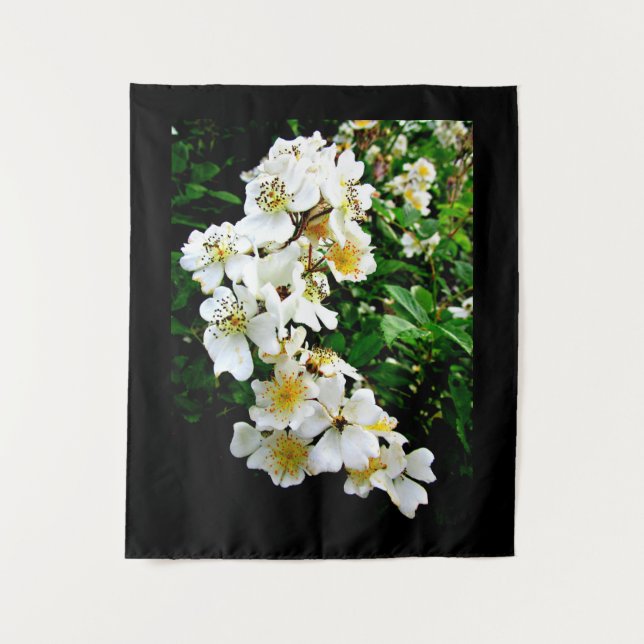 TENTURE PETITES FLEURS BLANCHES (Devant)