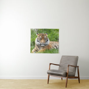 Tenture Photo Big Cat Sumatran Tiger