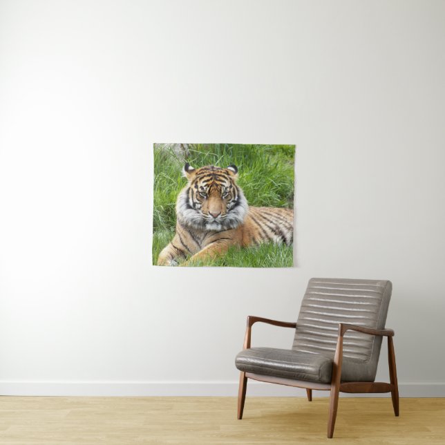 Tenture Photo Big Cat Sumatran Tiger (En situation (horizontale))