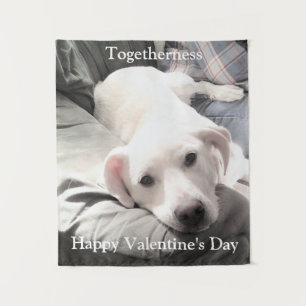 Tenture Photo de mignon chien blanc avec papa Saint Valent