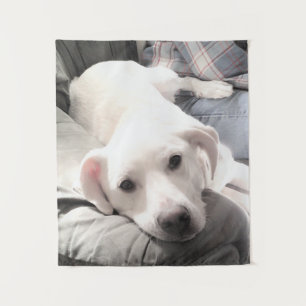 Tenture Photo de mignonne Tired Chien chiot avec papa sur 