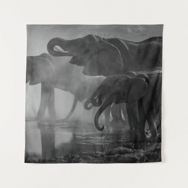 TENTURE PHOTO GRAYSCALE D'ÉLÉPHANTS EN EAU POTABLE (Devant)