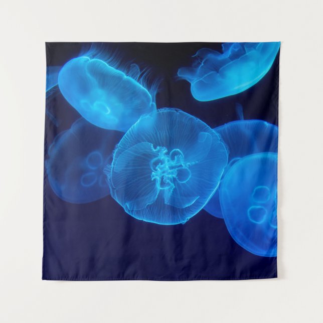 TENTURE PHOTOGRAPHIE DE CLOSEUP DE SWARM DE JELLYFISH (Devant)