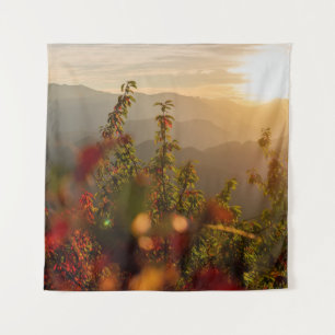 TENTURE PHOTOGRAPHIE DE LA NATURE D'ARBRES VERTS SURPLOMBA