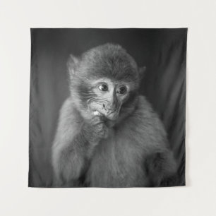 TENTURE PHOTOGRAPHIE DE SINGE NOIR À PEU PRÈS CONCENTRÉE
