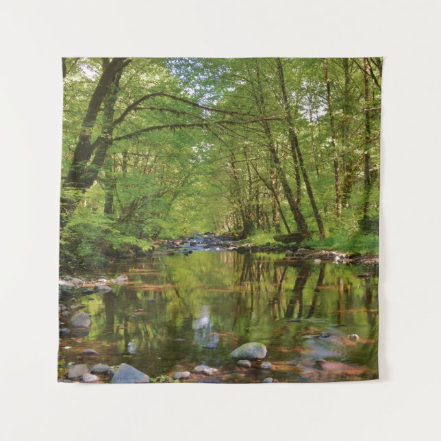 Tenture Pittoresque de la rivière Wilson (Devant)