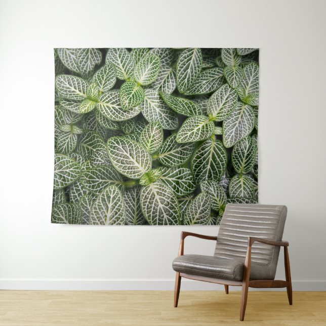 Tenture Plante en mosaïque Fittonia avec Feuilles variés (En situation (horizontale))