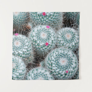 Tenture Plantes de cactus aux minuscules fleurs roses