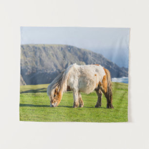 Tenture Poney Shetland sur le pâturage près de hautes fala