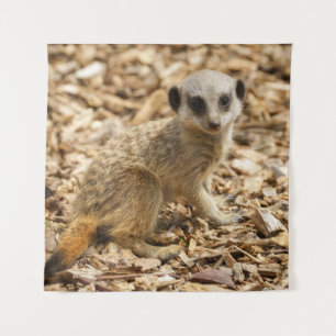 Tenture Poster Baby Meerkat
