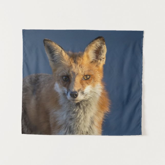 Tenture Pretty Red Fox  (Devant (Horizontal))