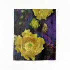 Purple Prickly Pear Opuntia Cactus Fleurs Jaunes