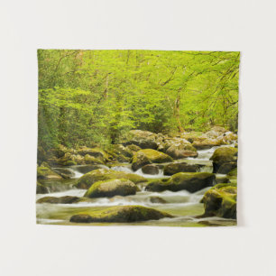 Tenture Roaring Fork au printemps