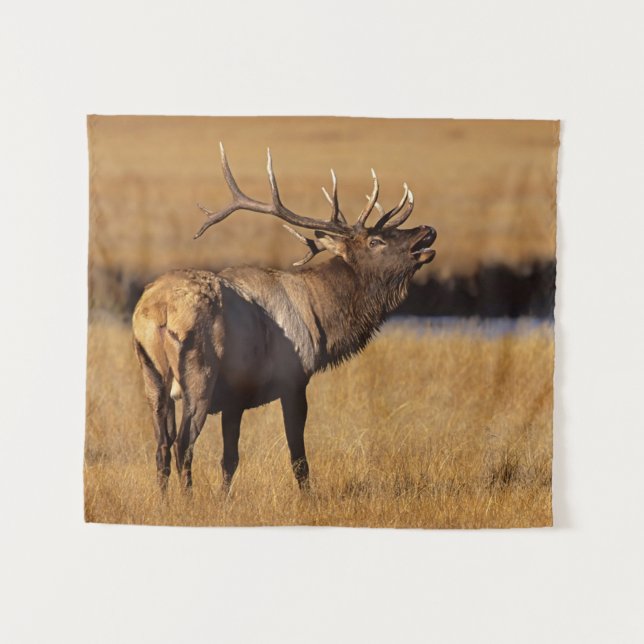 Tenture Roosevelt Eull Elk Wyoming (Devant (Horizontal))