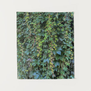 Tenture Serene Green Ivy Wall Suspendre Vins Plantes Feuil