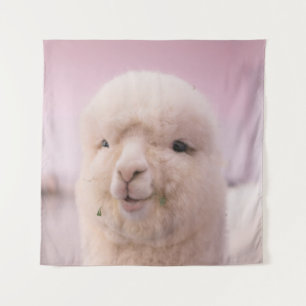 TENTURE SHEEP BLANC EN FERMETURE PHOTOGRAPHIE