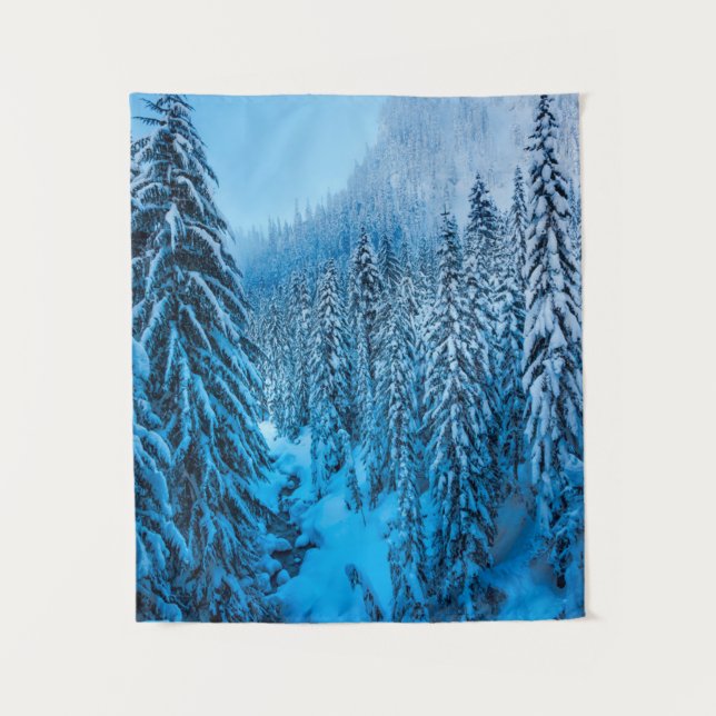 Tenture Snoqualmie Pass, État de Washington. (Devant)