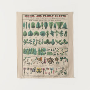 Tenture Tableau scolaire botanique antique de la nature vi
