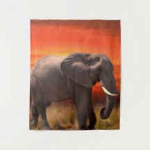 Tapis muraux à l'éléphant africain et au coucher d