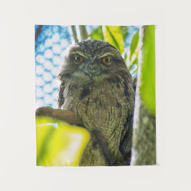 Tenture Tawny n'est pas une chouette (Devant)