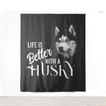 Tête de portrait Husky Sibérien Avec Yeux Bleus