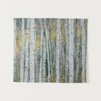 Troncs d'arbre d'Aspen | Aspen, Colorado