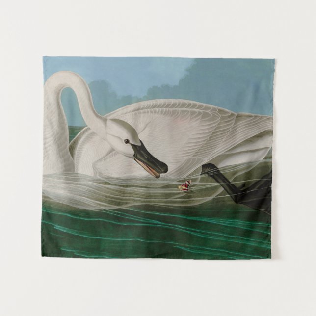 Tenture Trumpeter Swan Birds of America Audubon Print (Devant (Horizontal))