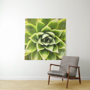 Tenture Vert Succulent Gros Plan Cactus