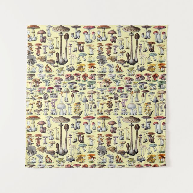 Tenture Vintage French Mushroom Cottagecore Botanical Art (Devant)