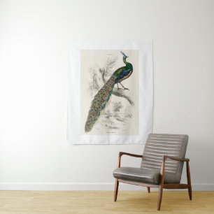 Tenture Vintage Peacock Histoire naturelle Imprimer