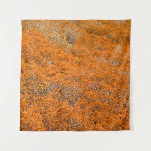 Tenture Vue sur la forêt orange. Arrière - plan de feuille