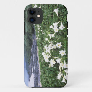 Teppo Yuri (Lily), Yakushima, Kagoshima, Japan iPhone 11 Case
