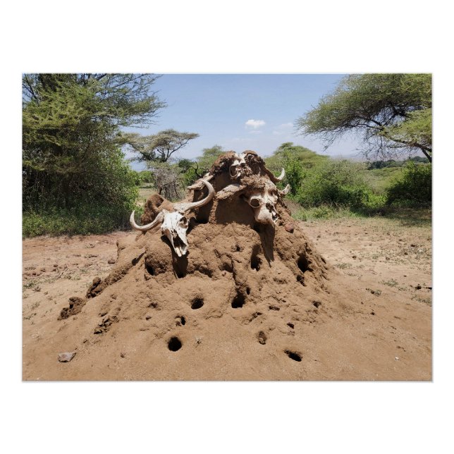 Termite Hill in Tanzania Poster (Front)