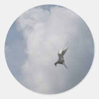 Tern in the Sky stickers