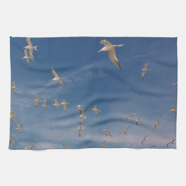 Terns Overhead Kitchen Towel (Horizontal)