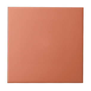 Terra Cotta Colour 1 Tile